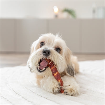 Trixie Denta Fun Filled Chicken Chewing Roll