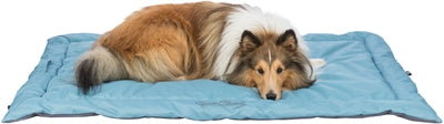 Trixie Reisdeken Samoa Classic Beige / Olijfgroen